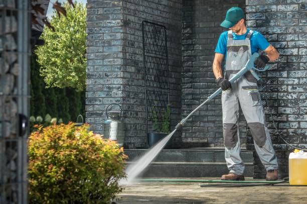 Best Gutter Cleaning  in Artesia, NM